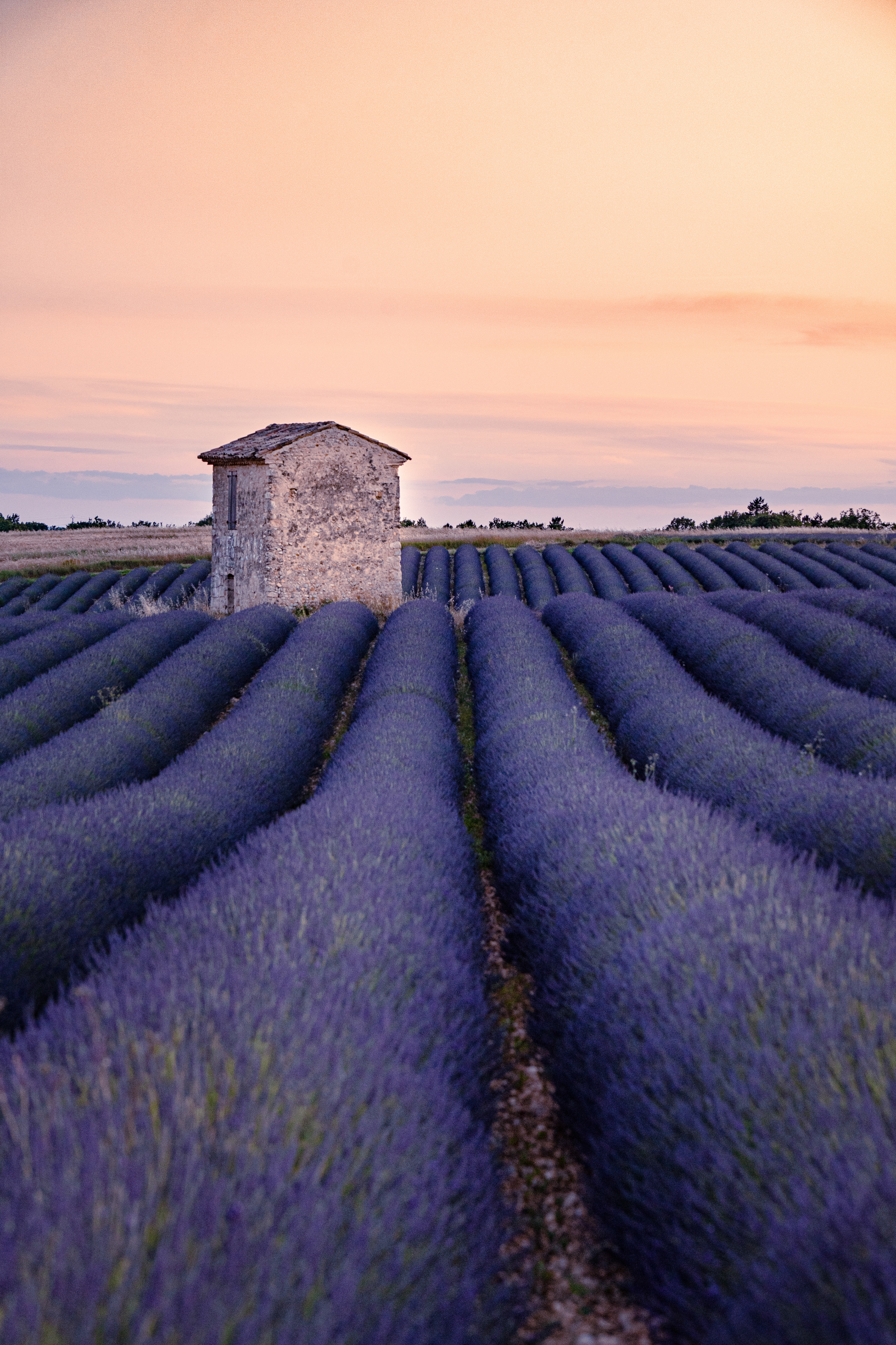 Provence, 2020