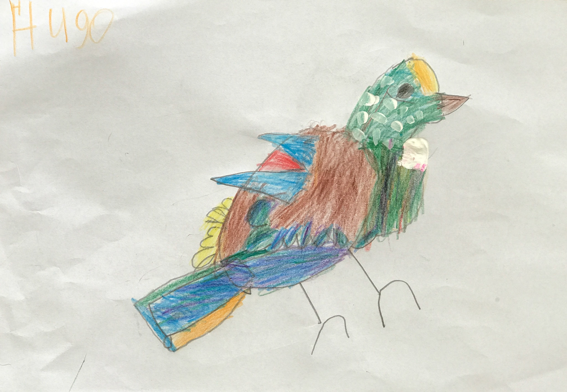 Hugo Pearson - The Hub