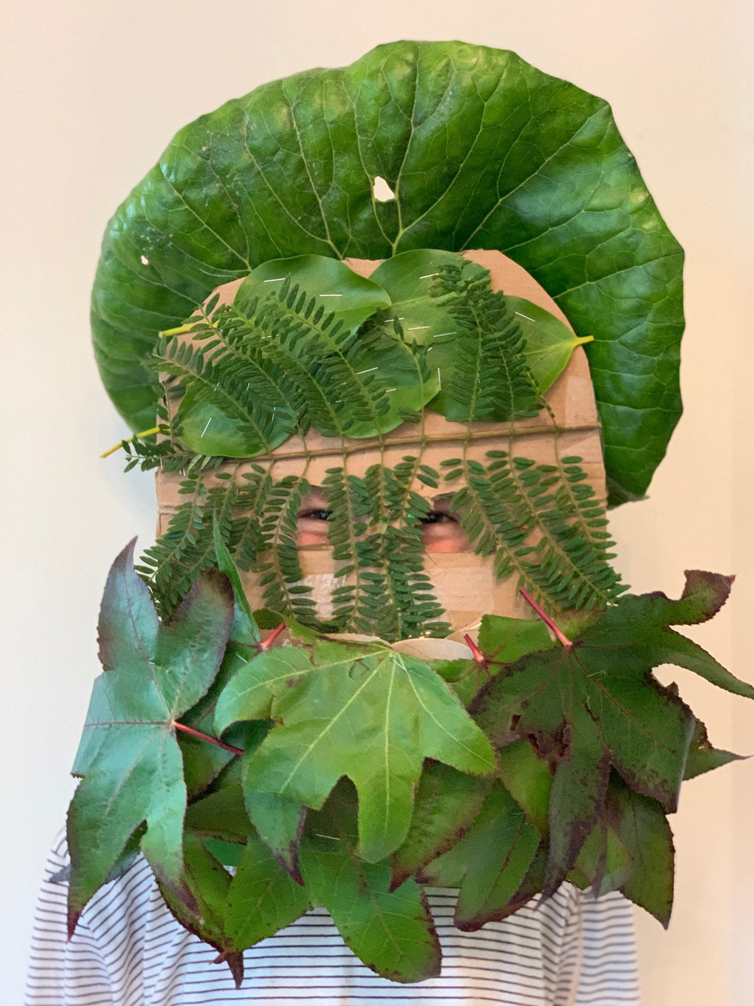 Maisey Paton - Suite 1718