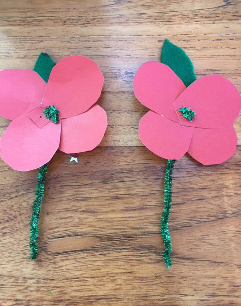 Rosie Shuttleworth Rm 6