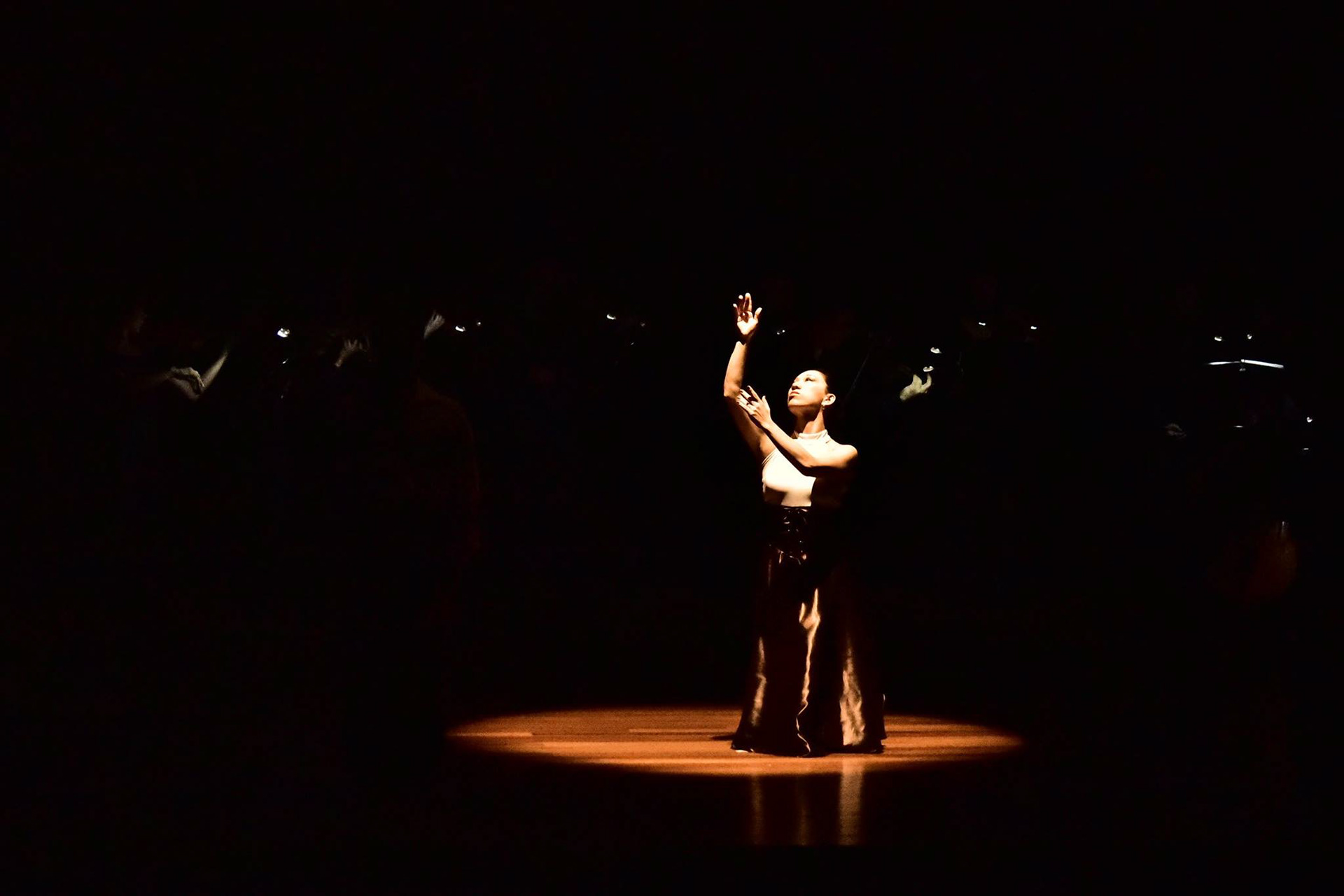 Espetáculo de dança & Orquestra Barroca 2015 - SP