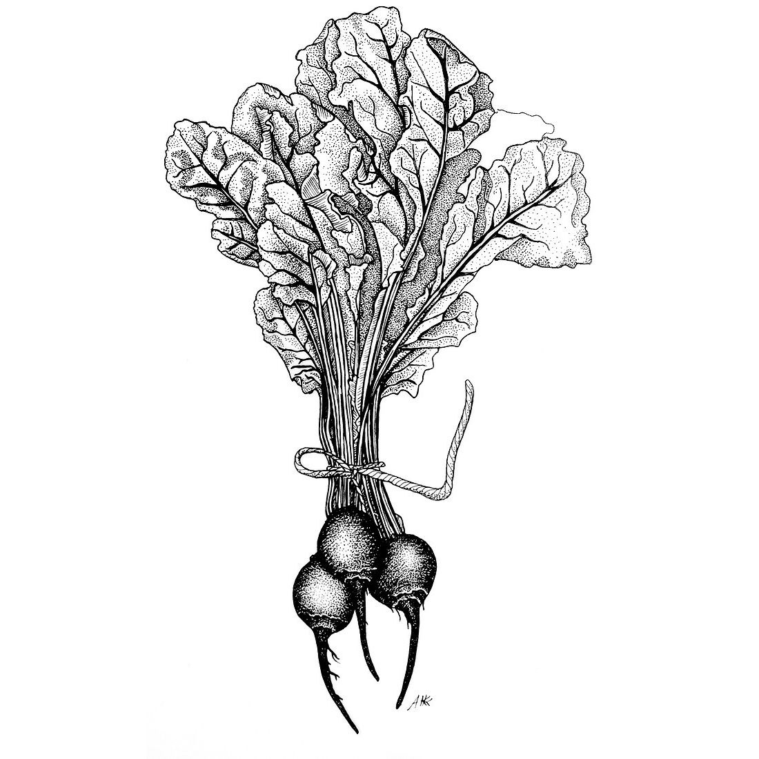 Beetroot
