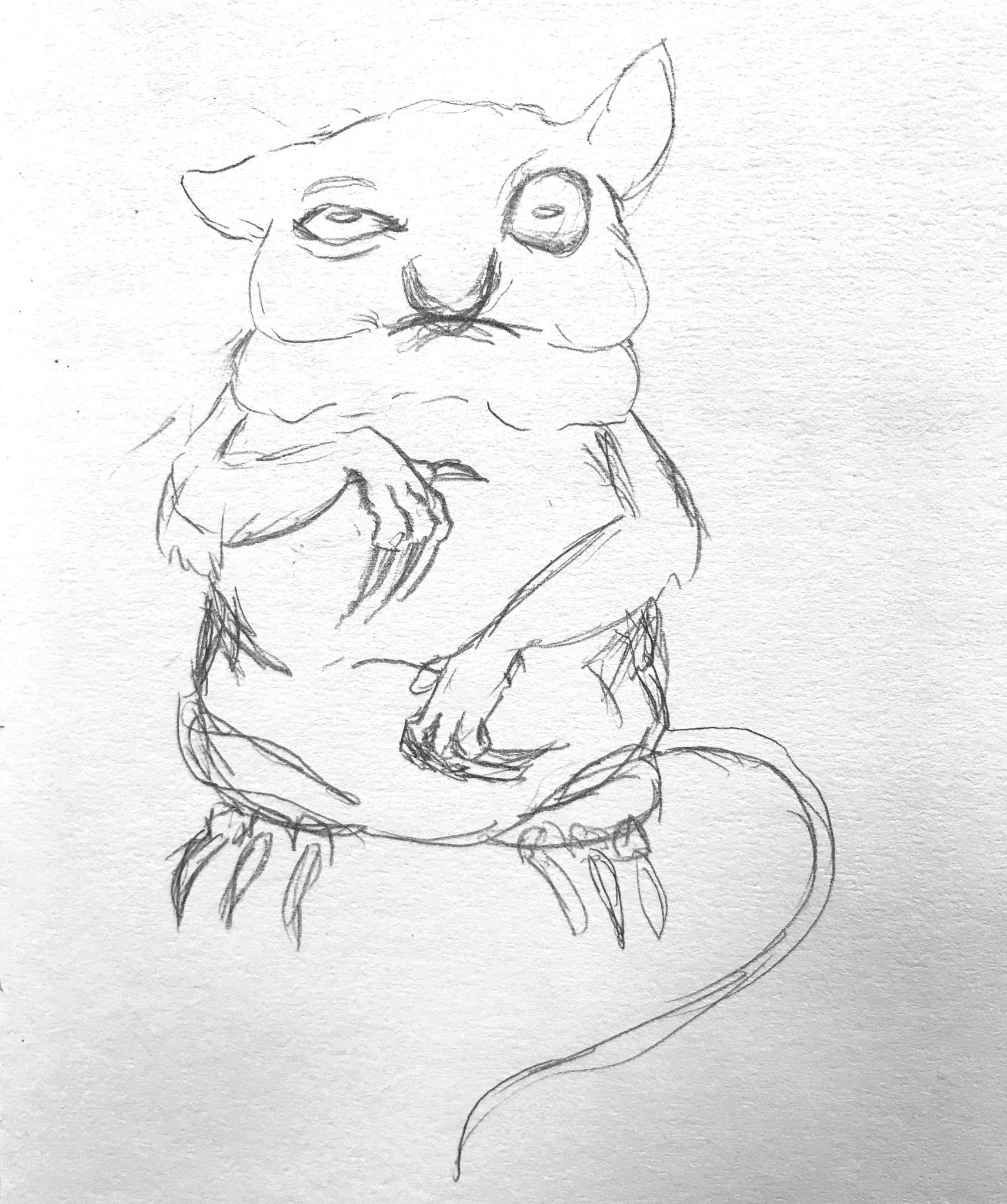 Second Concept Sketch