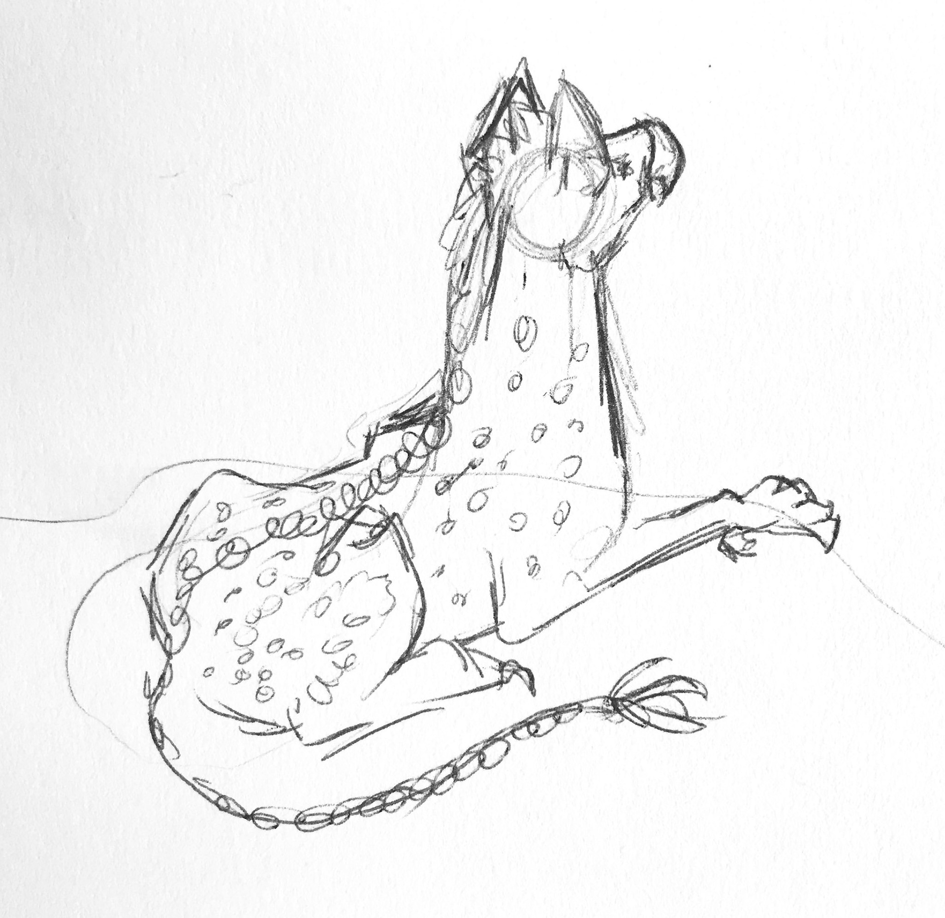 Character Study