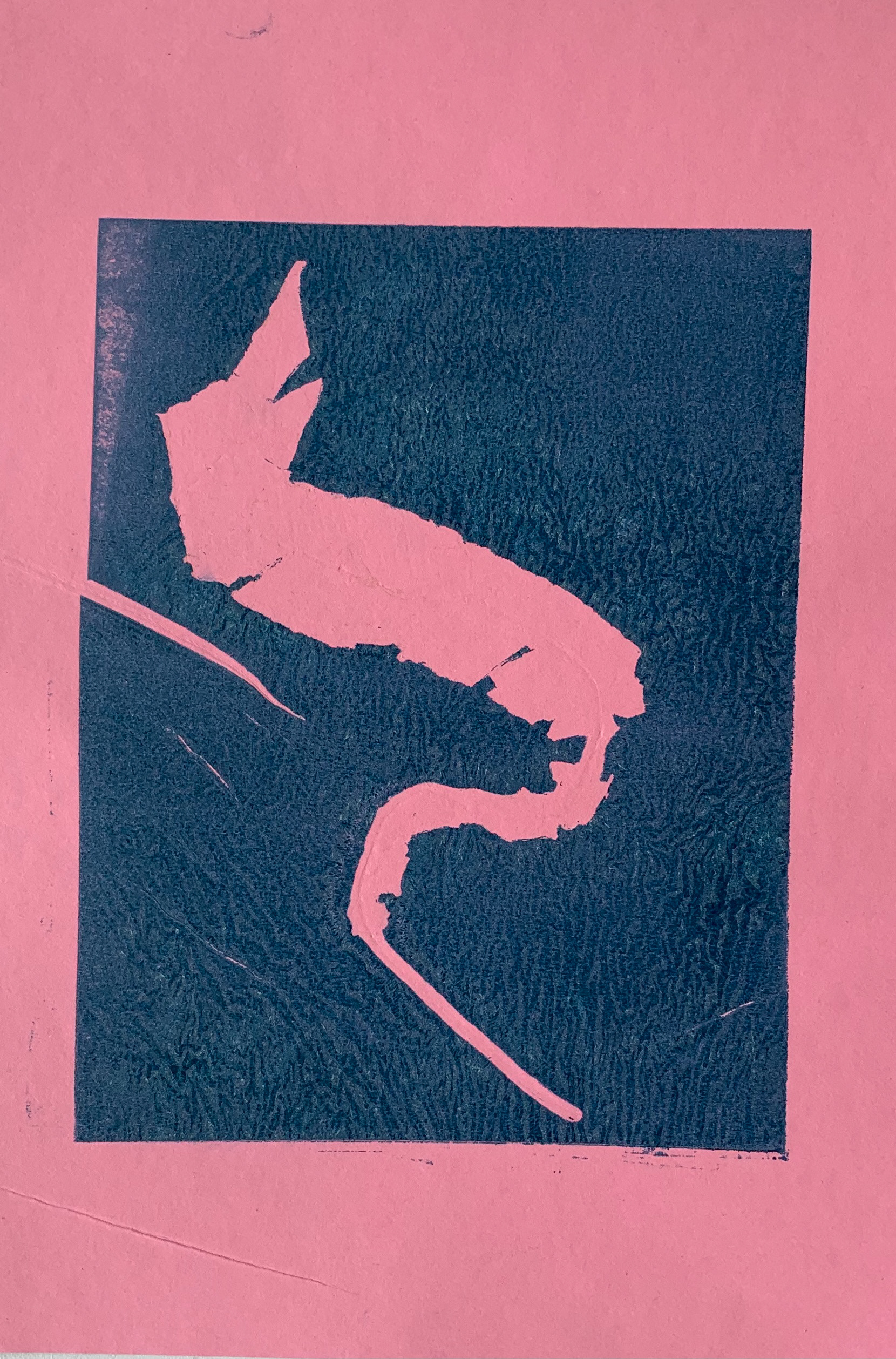 Collagraph on paper, 29.7 x 42 cm