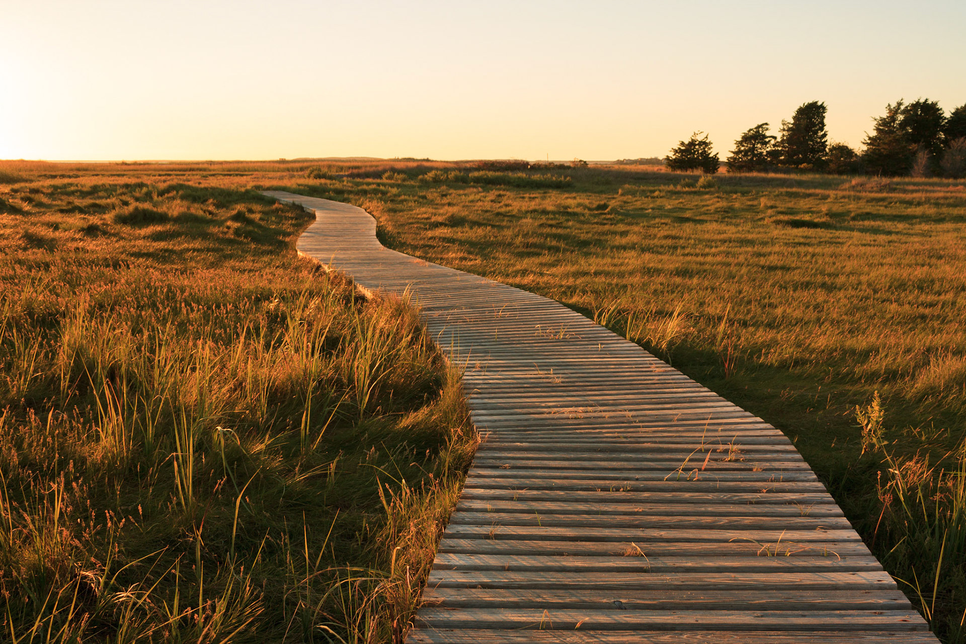 Salt marsh boardwalk, Mass Audubon's Wellfleet Bay Wildlife Sanctuary, Massachusetts