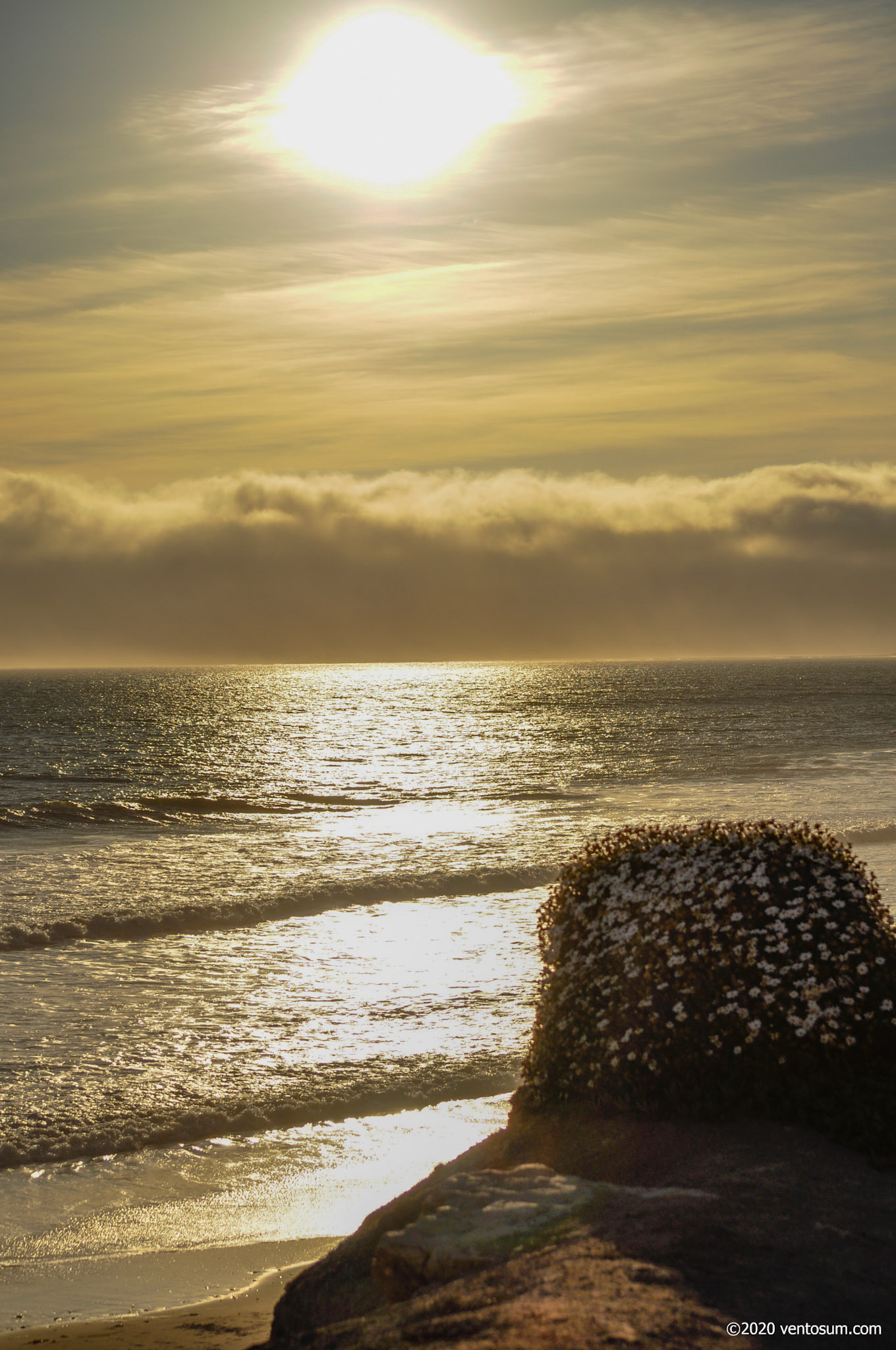 Waddell Creek, Santa Cruz, California, United States