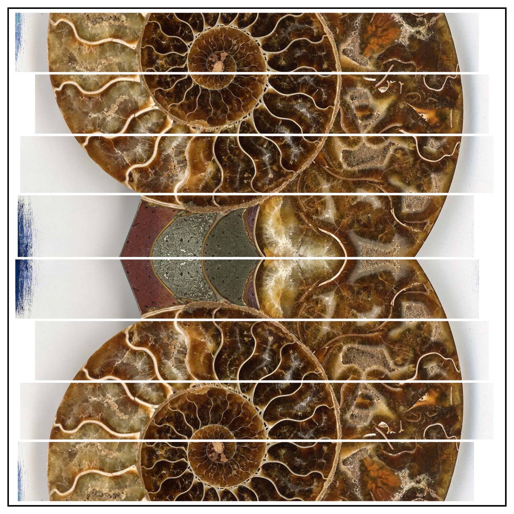 The Past Dissected (AB)