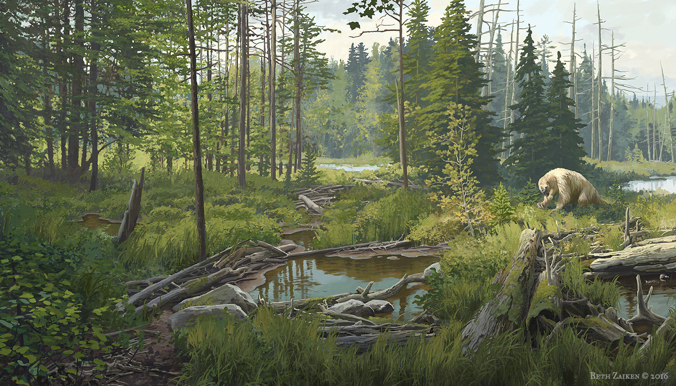 Beth Zaiken - New York State Museum | Boreal Bog Mural