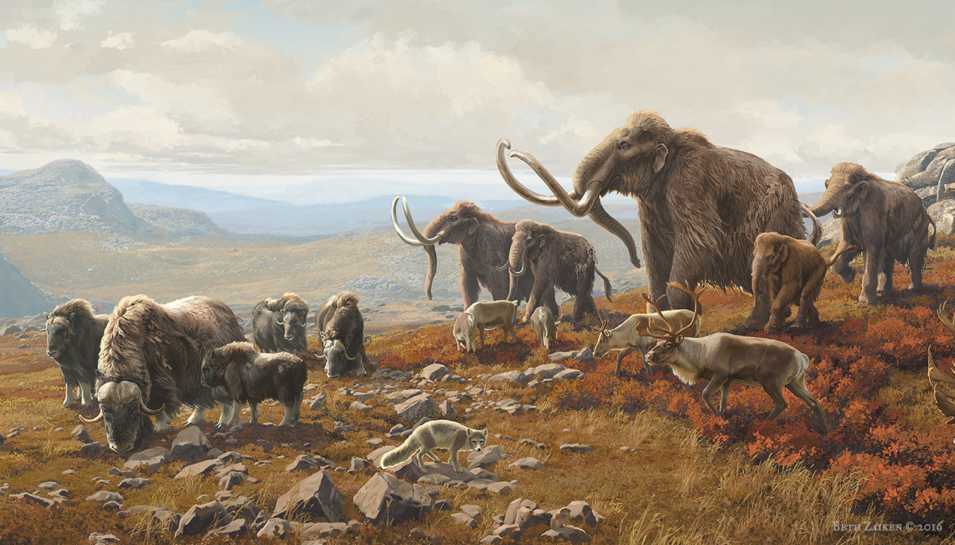 Beth Zaiken - New York State Museum | Pleistocene Tundra Mural