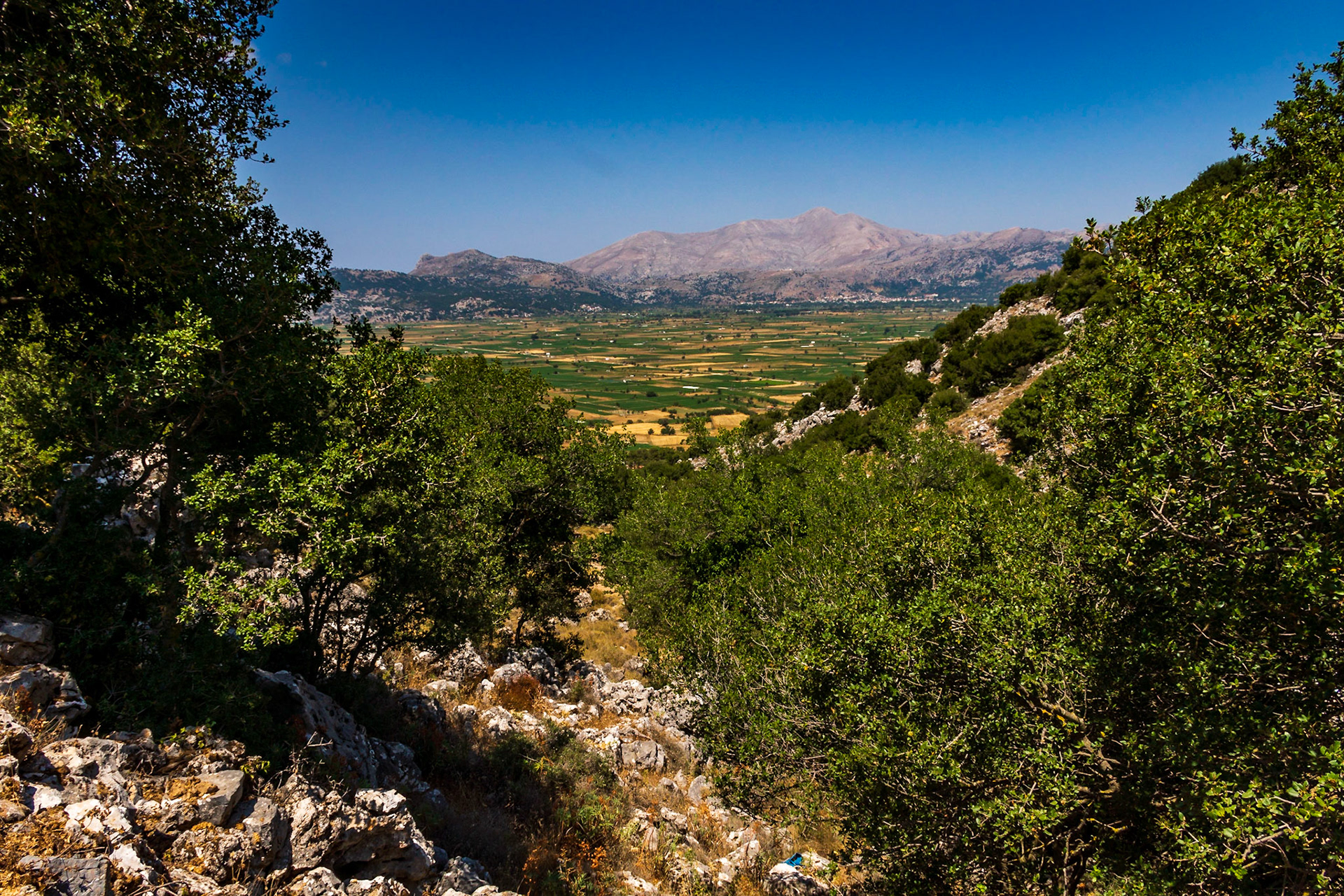 Hills & plains in Crete