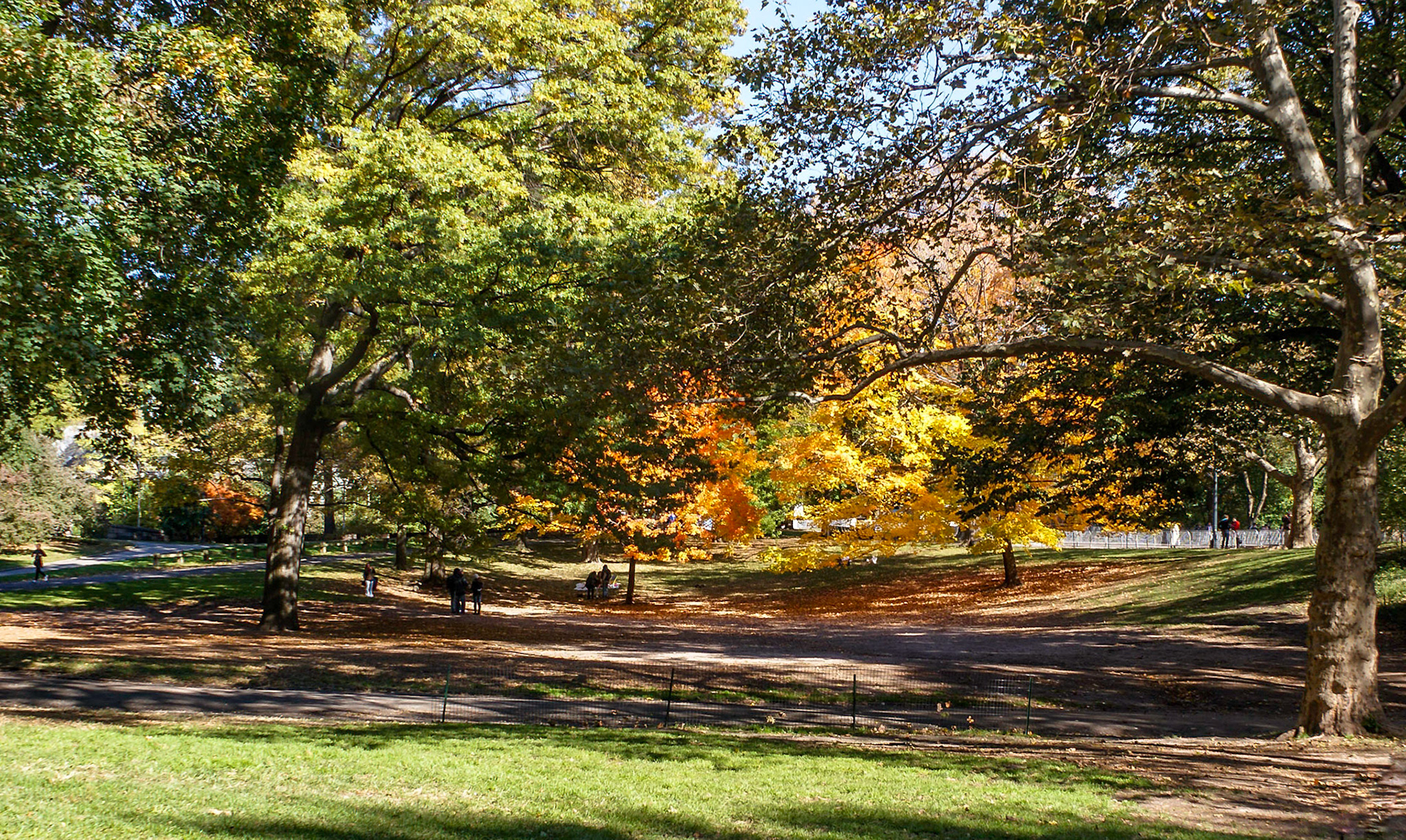 Autumn Colours, Central Park, Manhattan