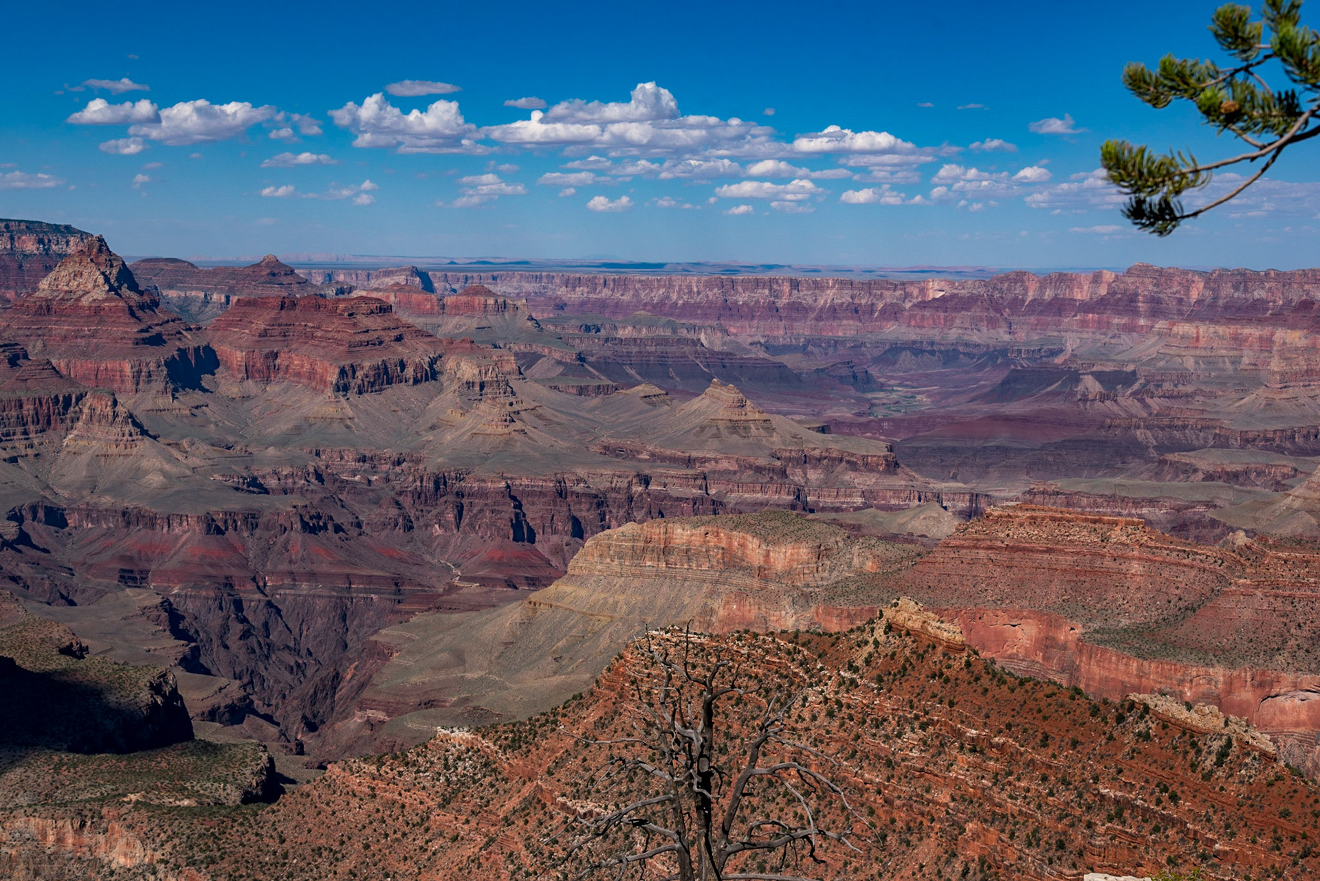 Change light, changing colours! Grand Canyon, Arizona