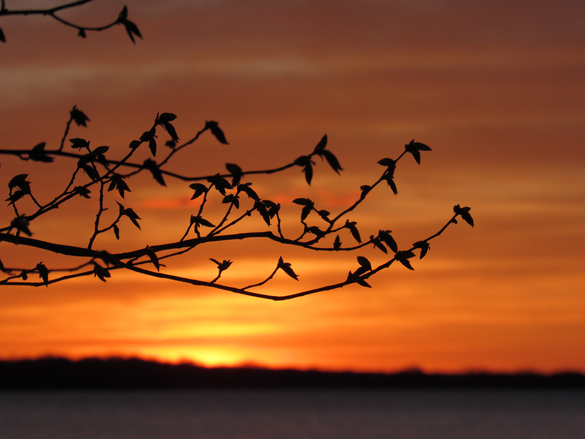 Leslie Sherman - Battle Lake, Minnesota