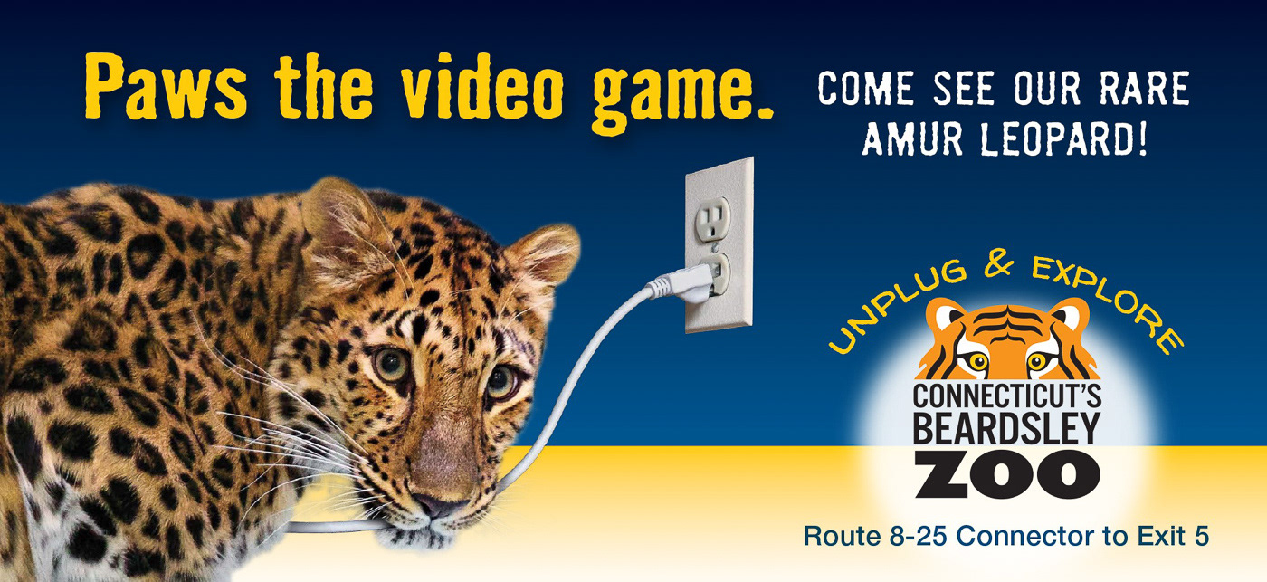 Zoo Campaign Billboard