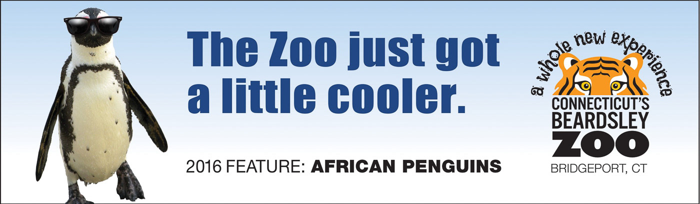 Zoo Penguin Exhibit Billboard