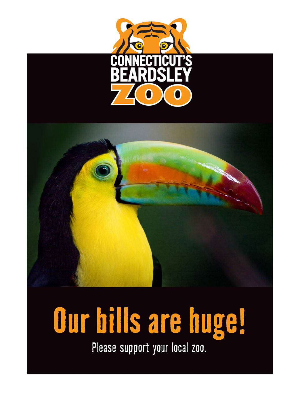 Zoo Donation Box