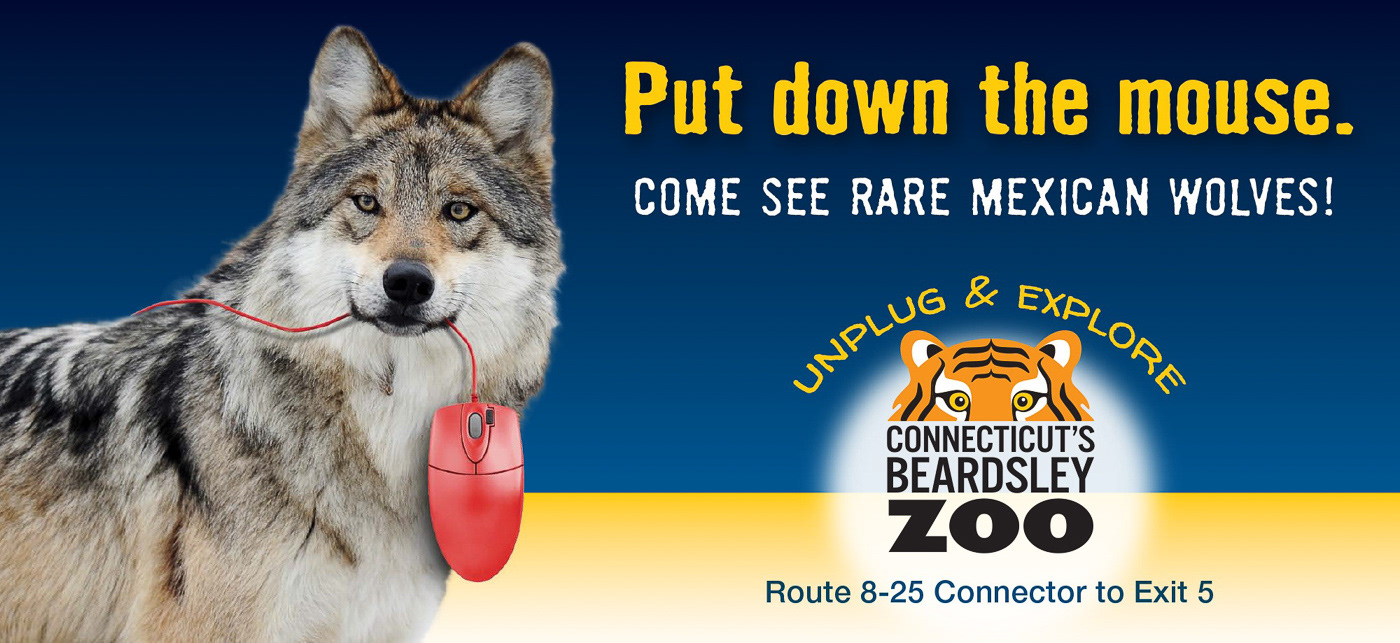 Zoo Campaign Billboard