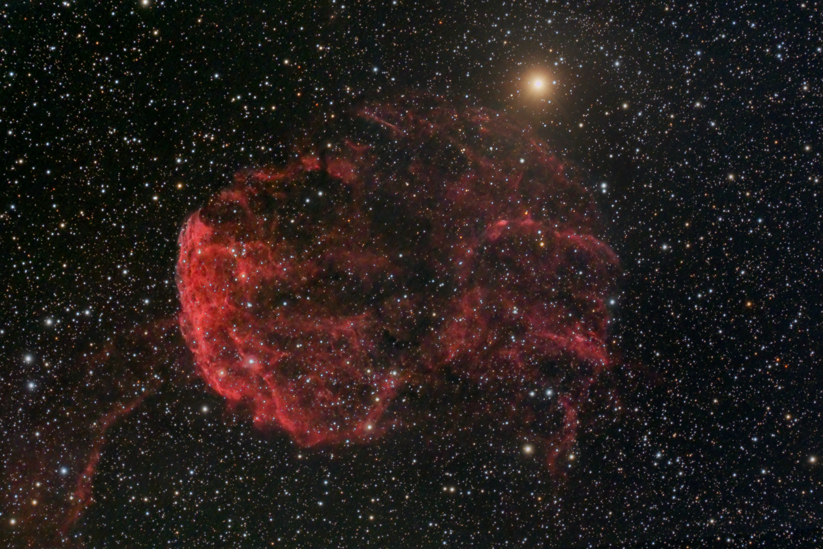 The Jellyfish Nebula