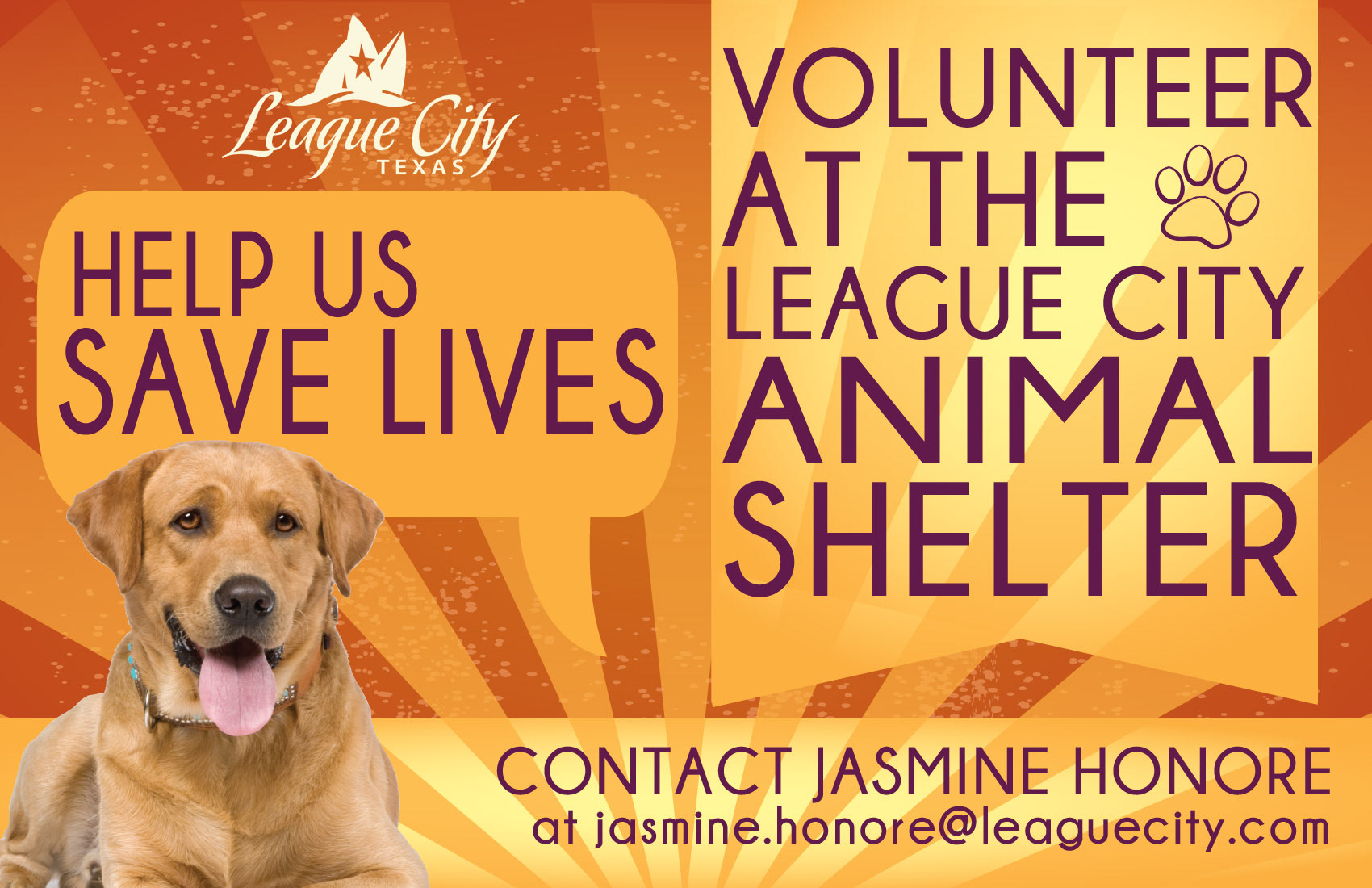 Volunteering at an animal shelter. Animal Shelter Volunteer. Volunteer animals. Austin Dog Shelter advertisement. Advertisement animals in the.