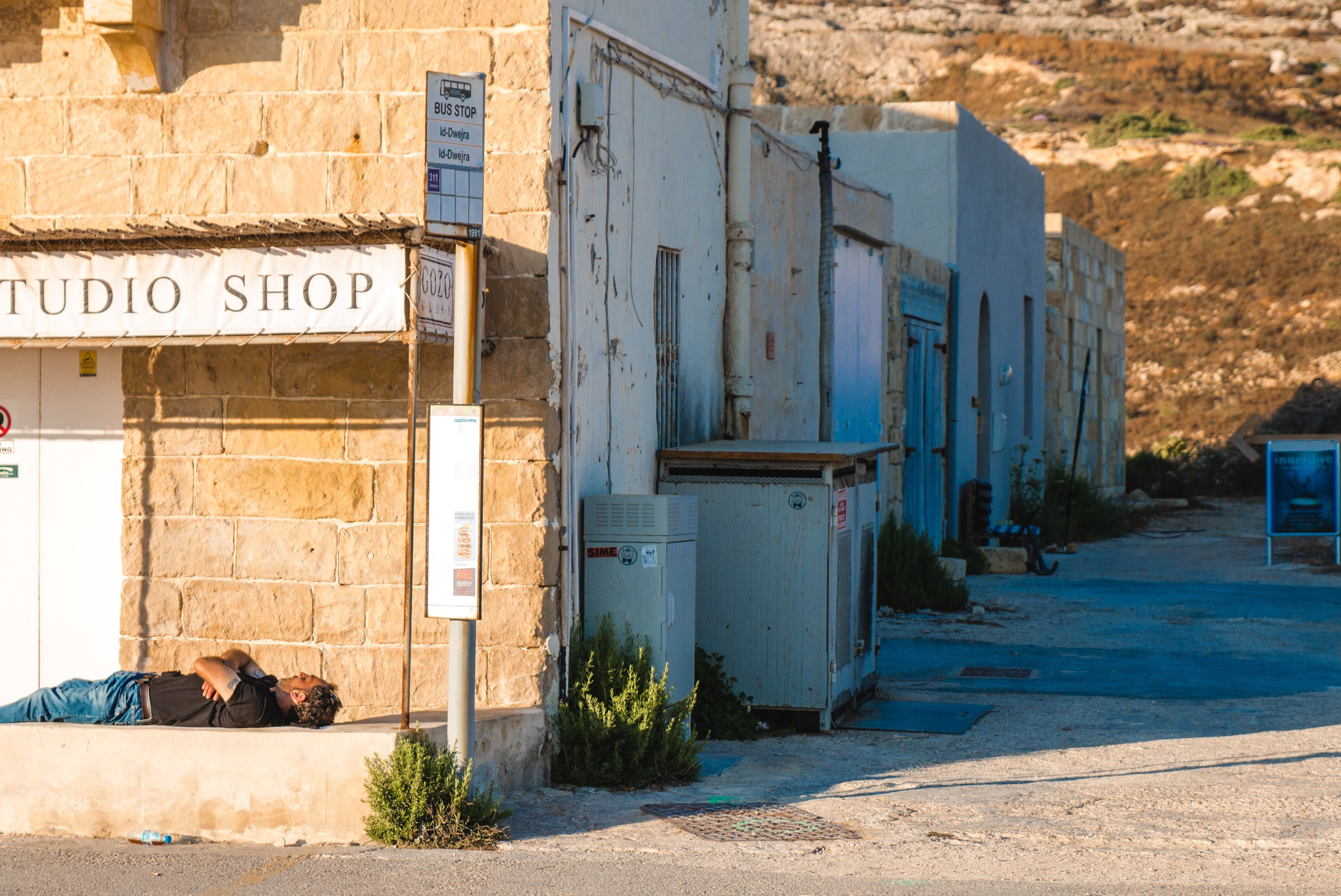 Un maltais en pleine sieste