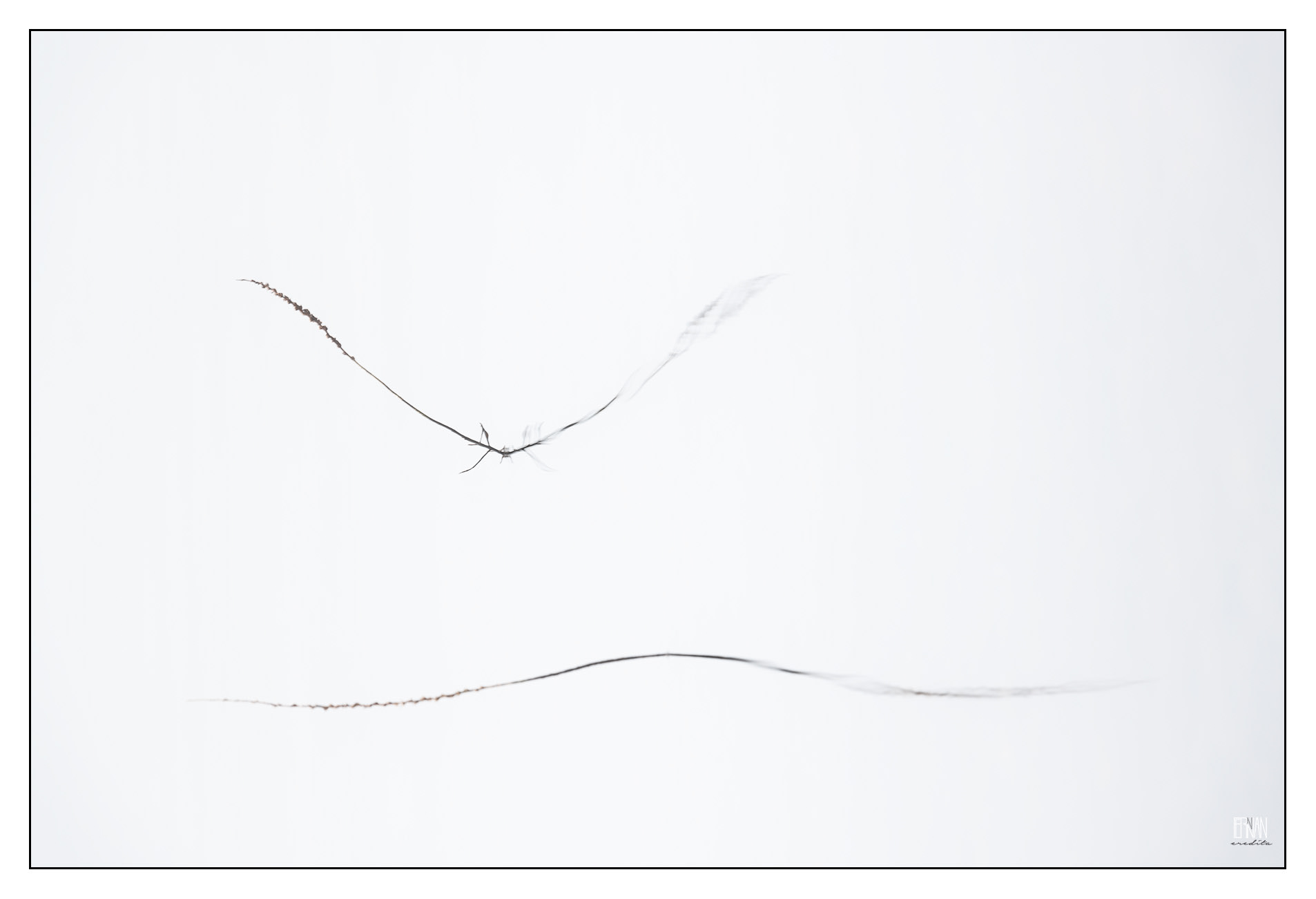 Vuelo III