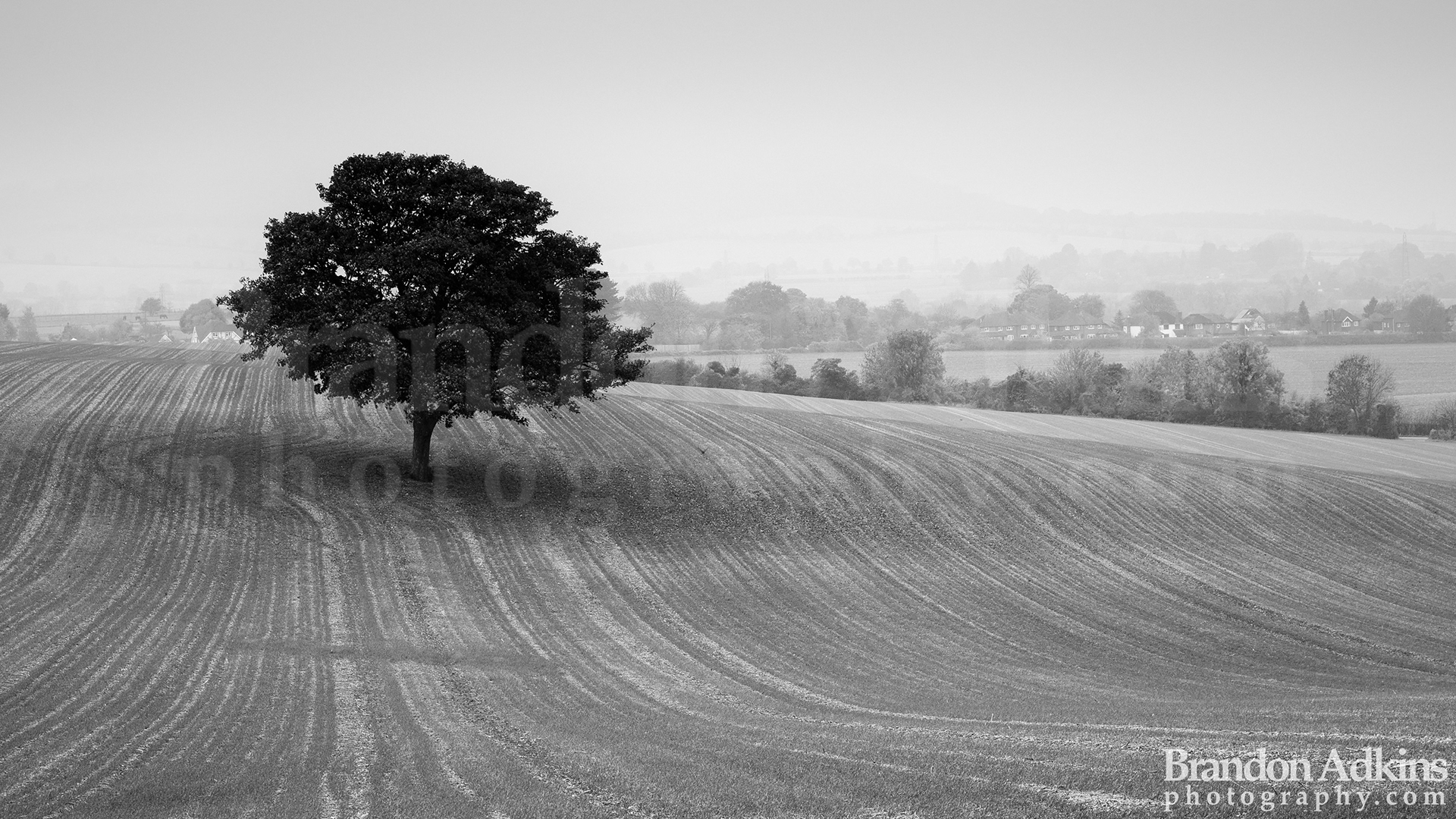 Fine art photograph of farm field in English countryside