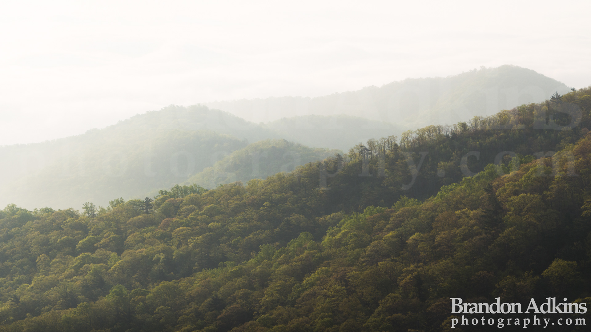 Fine art photograph of fog in valley of Shenandoah National Park, Virginia