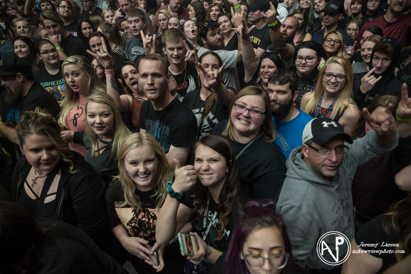 Crowd for Shinedown