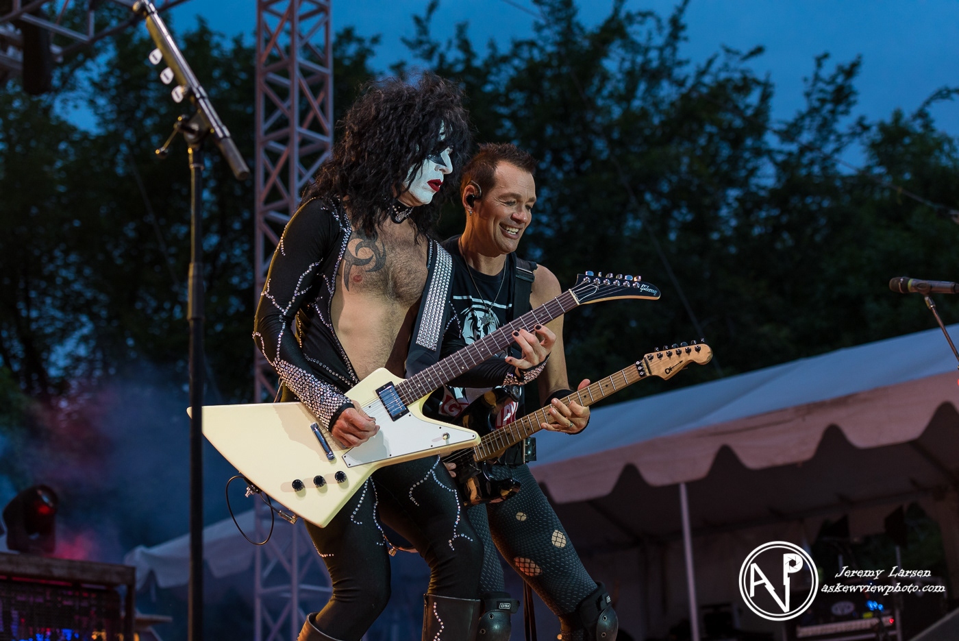 Hairball