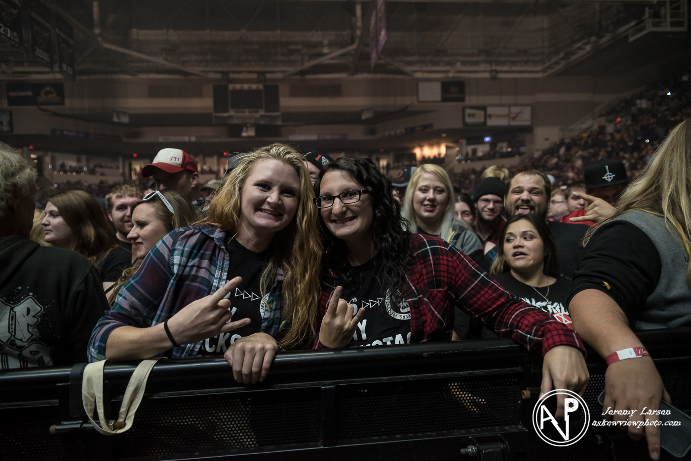 Crowd for Shinedown