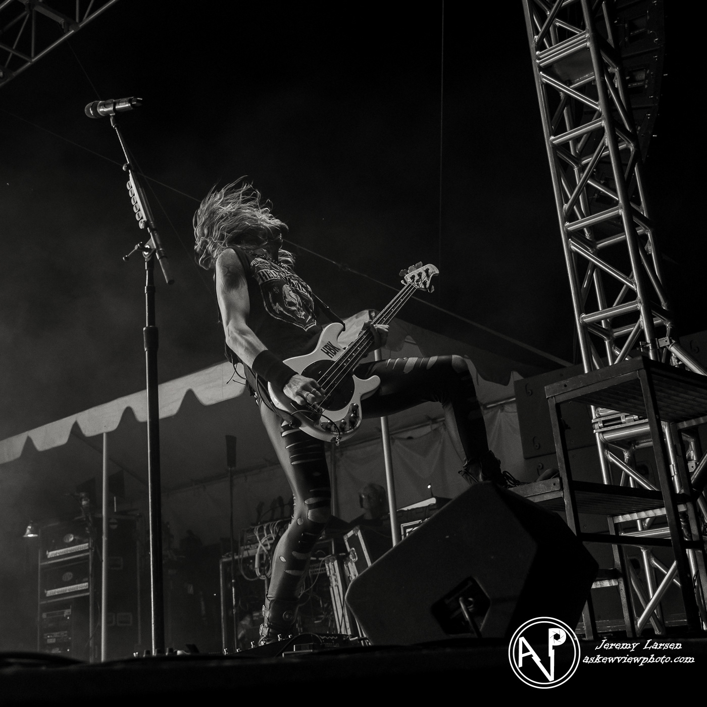 Hairball