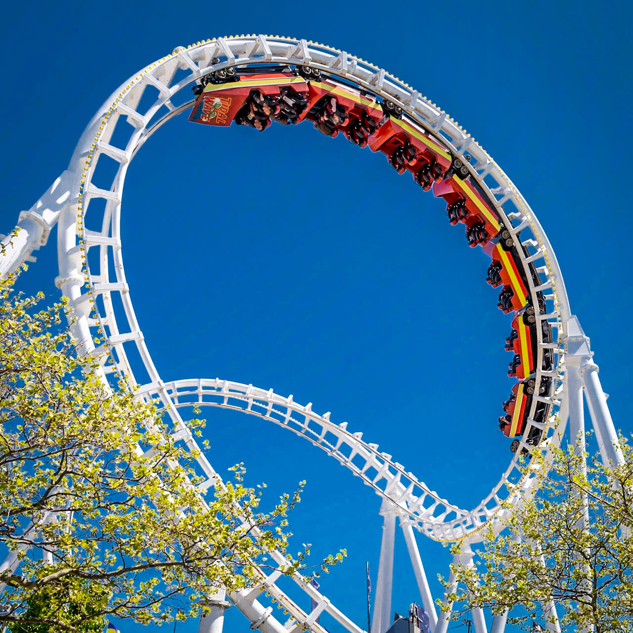 Ocean City, New Jersey