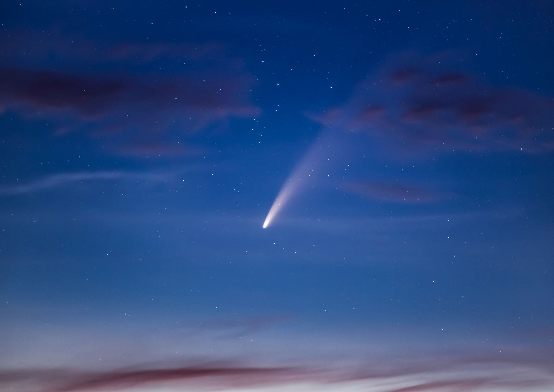 Neowise