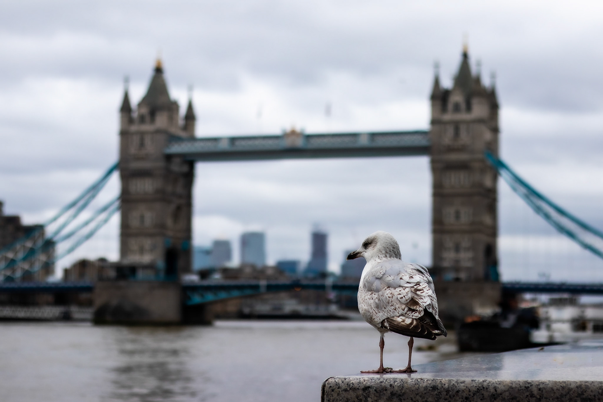 Tower Bridge