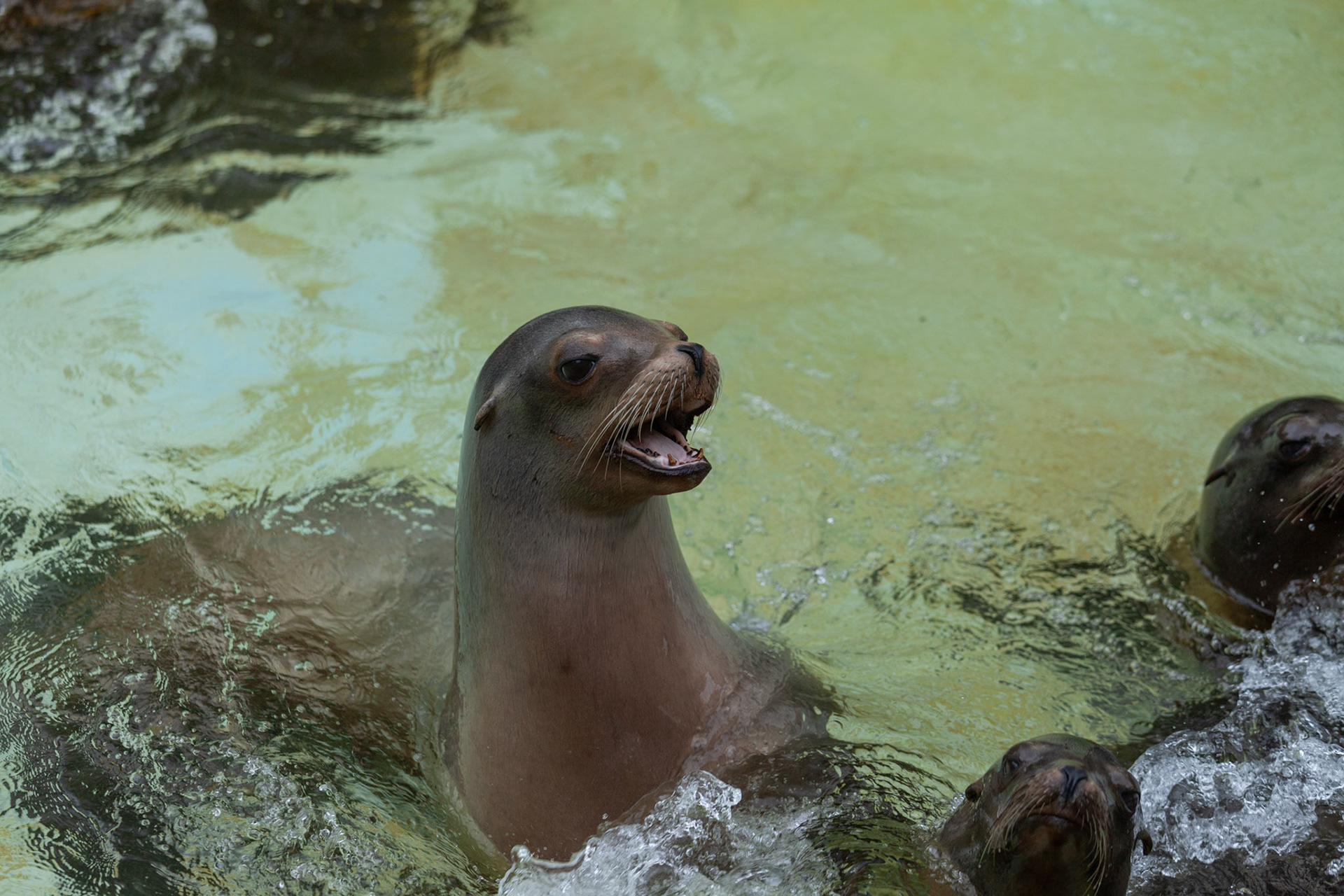 Zoo Berlin