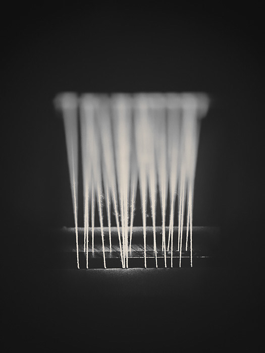 Image By Suzanne Goodwin - Tending To Tension
