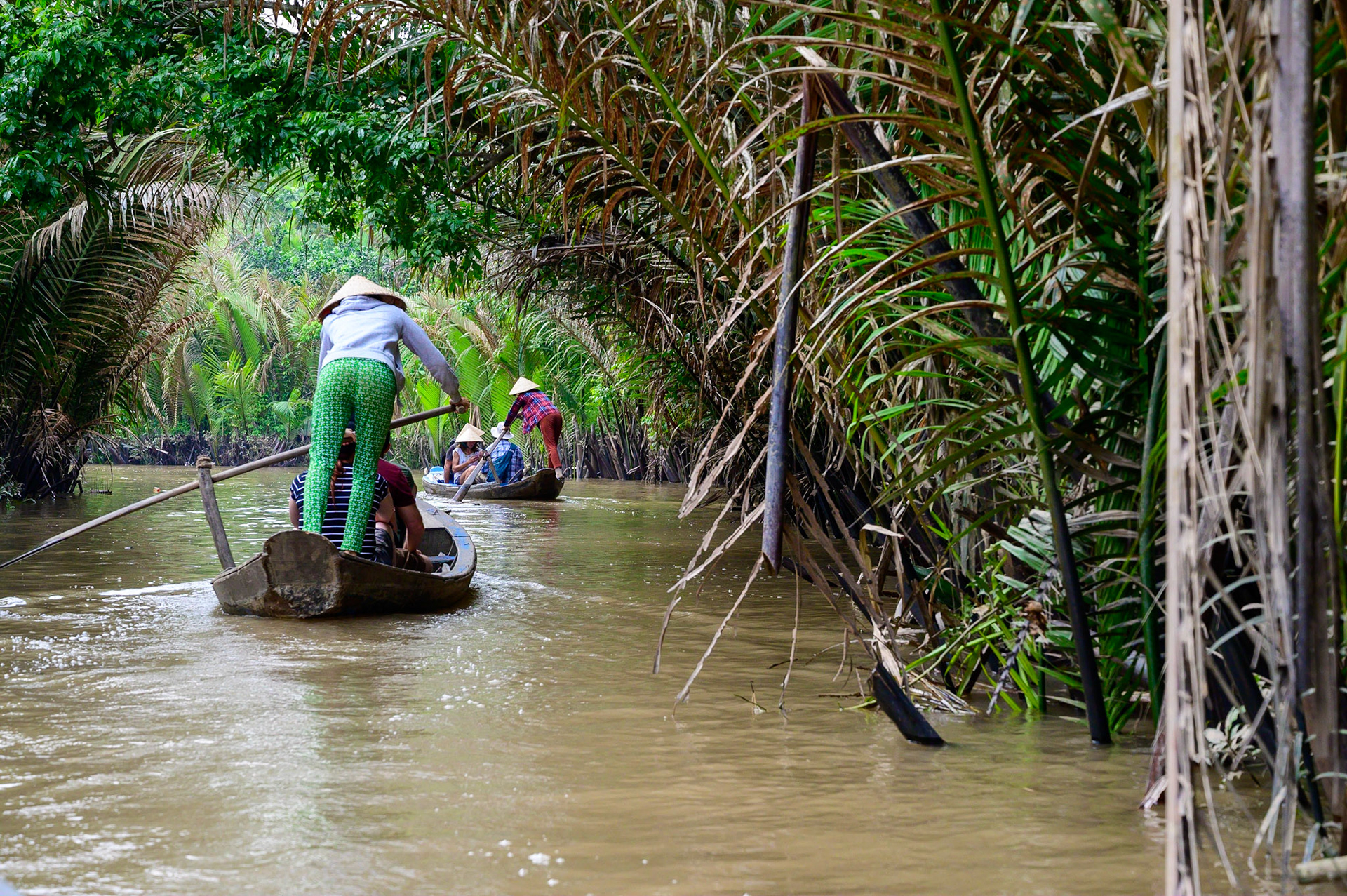 Tour de pirogue dans le Mekong Delta