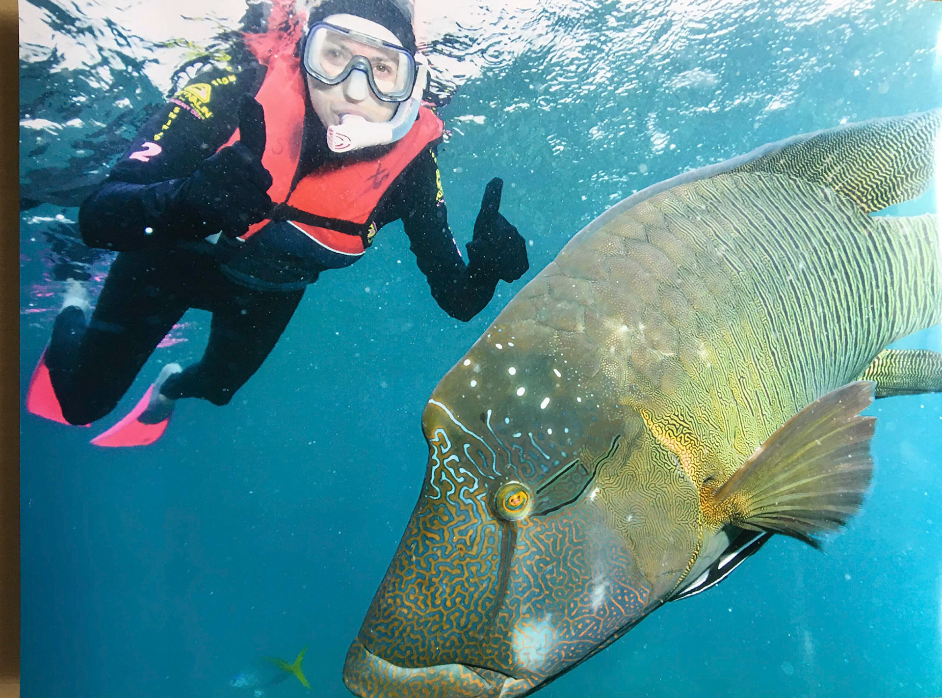 Plongée à la Grande Barrière de Corail