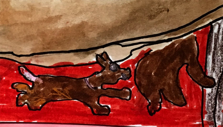 Les chiens Corgi