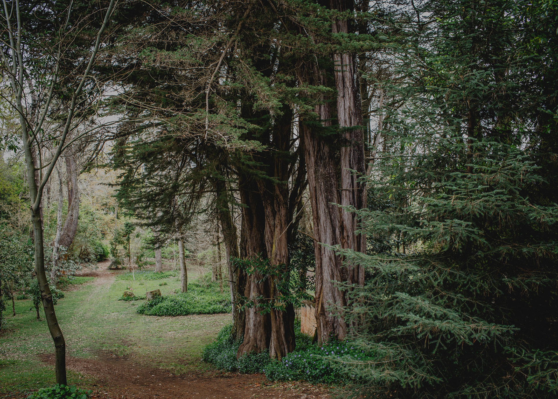 Gwavas Garden Homestead trees, Central Hawke's Bay