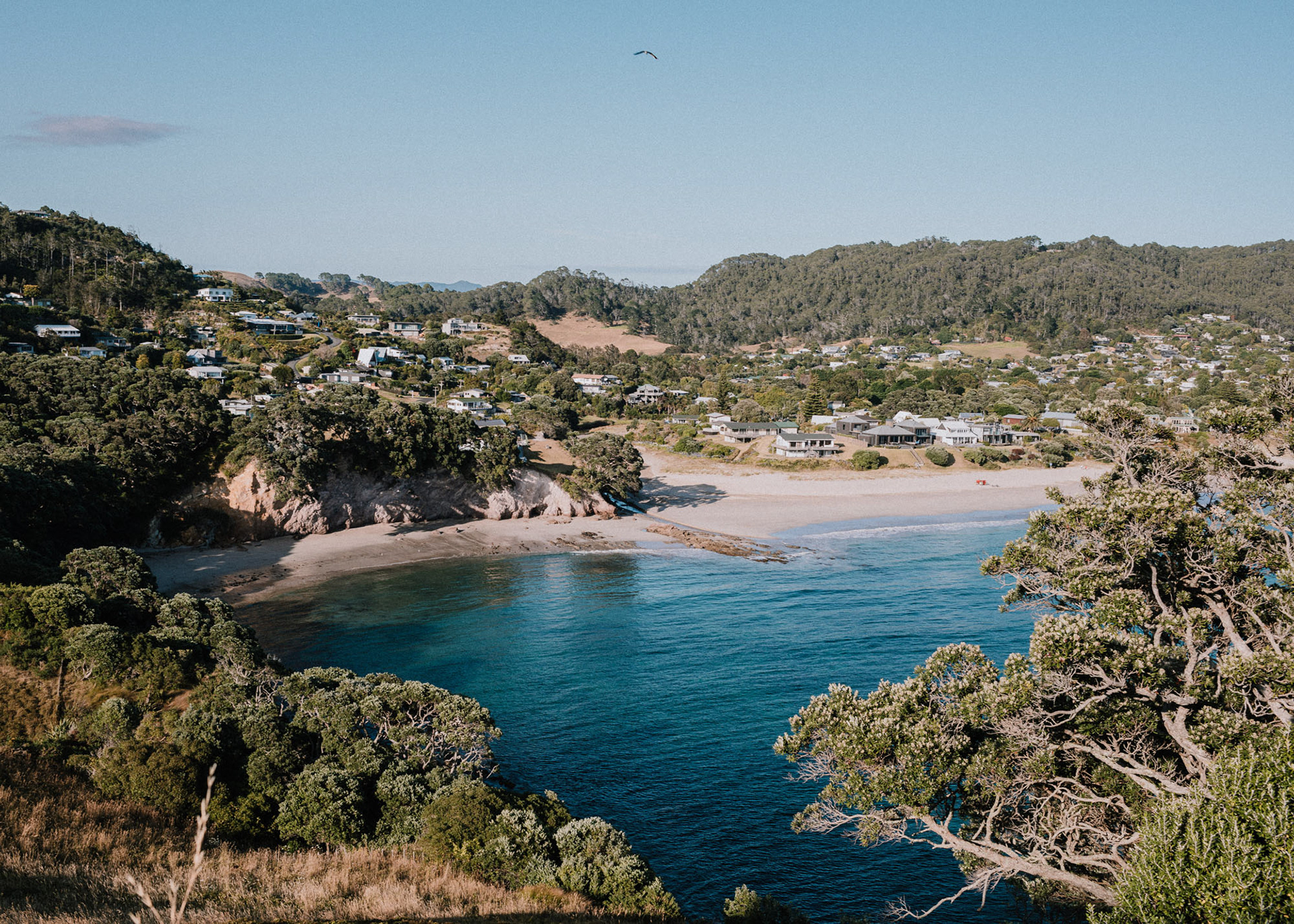Daytime view from hill across Hahei beach