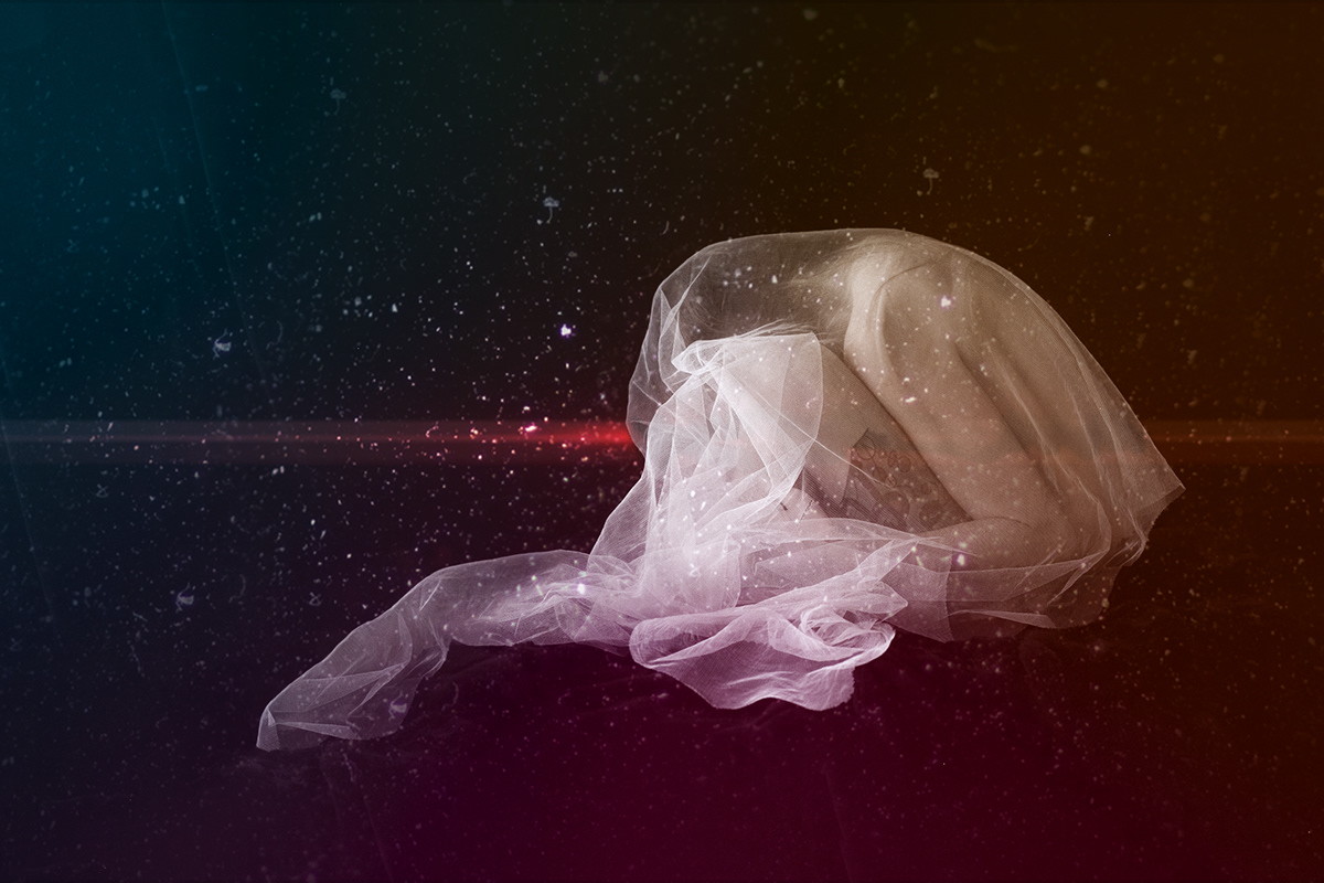 Chrysalis essay 06 picture