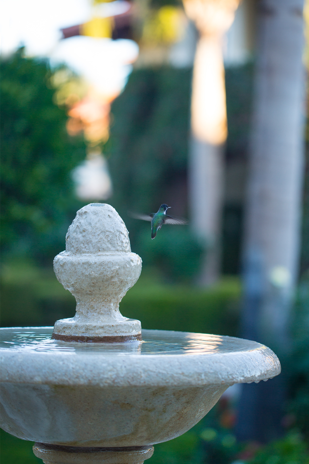 Miramonte Indian Wells Resort and Spa