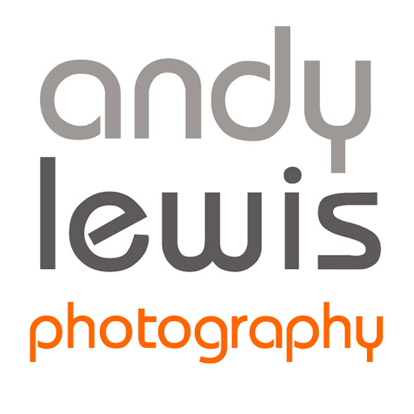 andy lewis