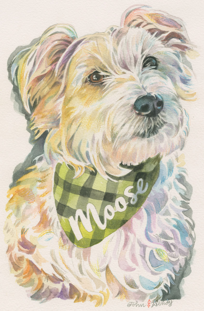Moose
