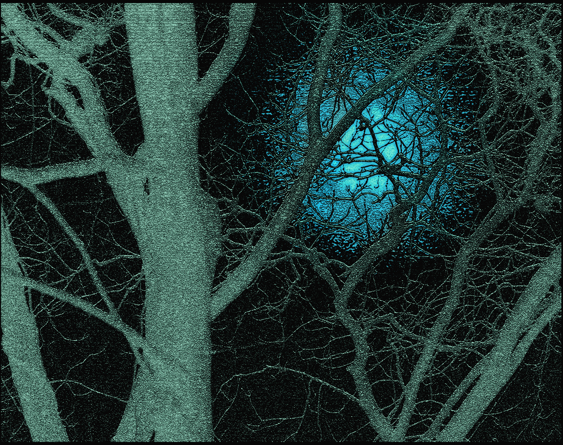 Once in a Bluemoon - by Elaine Johnston Schuch