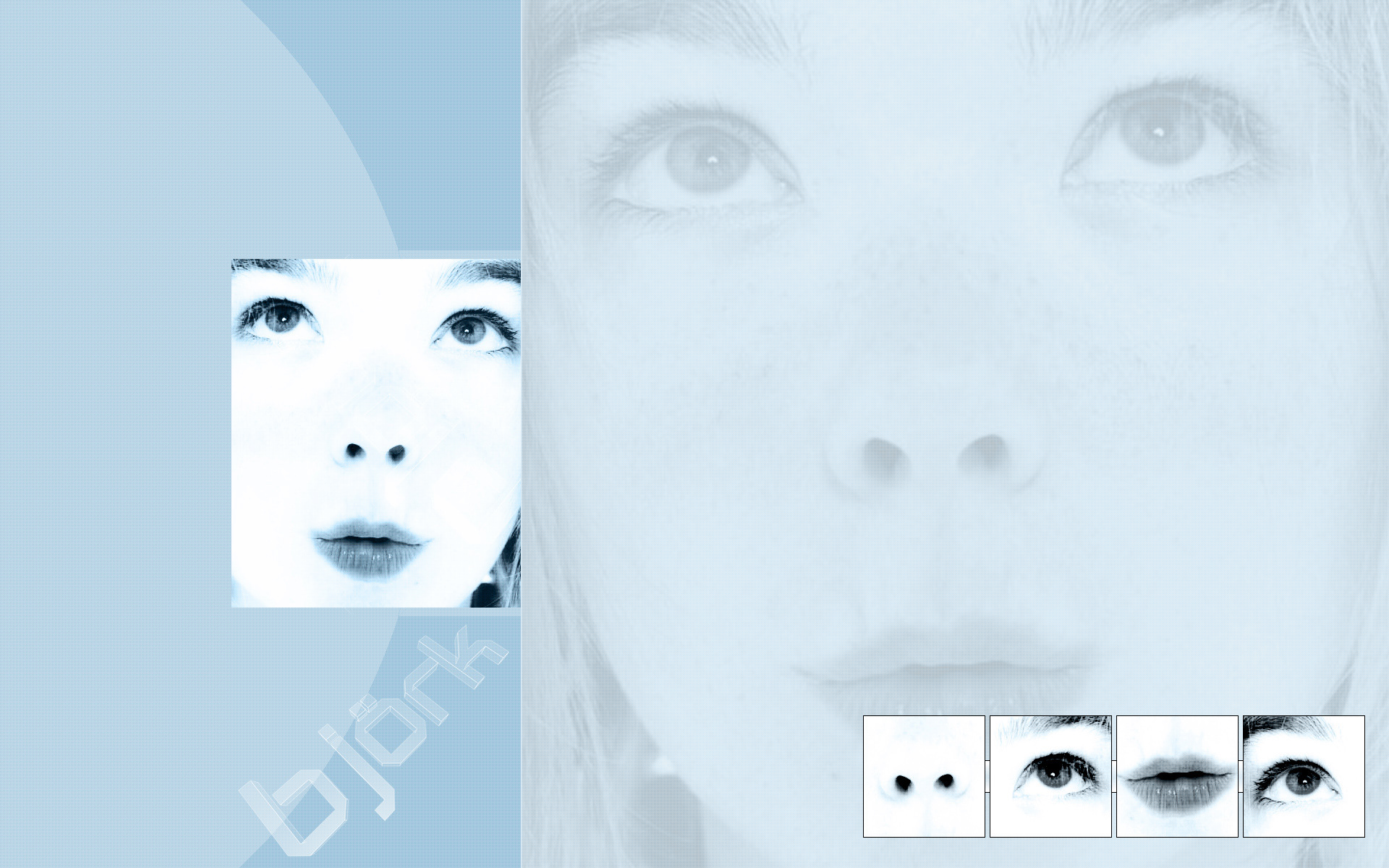 Bjork 01