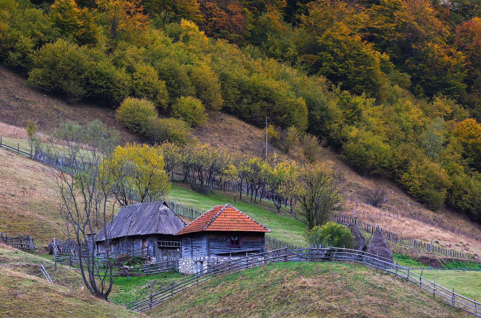 Fundătura Ponorului