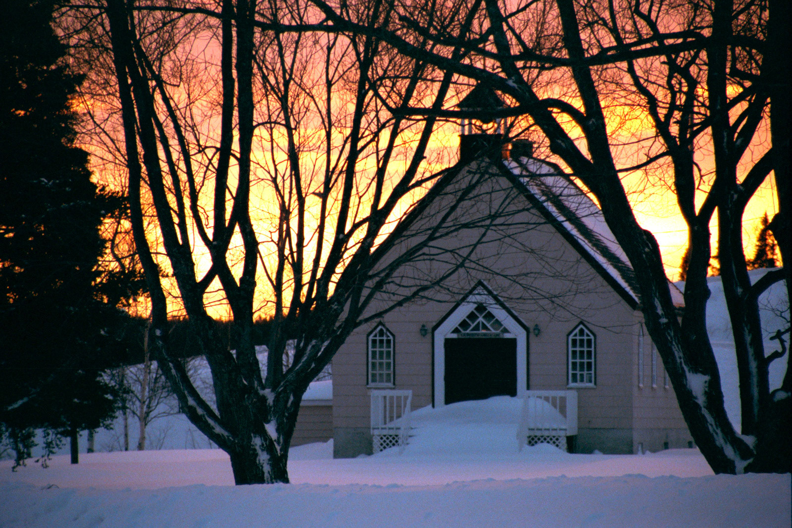 La Petite Anglicane